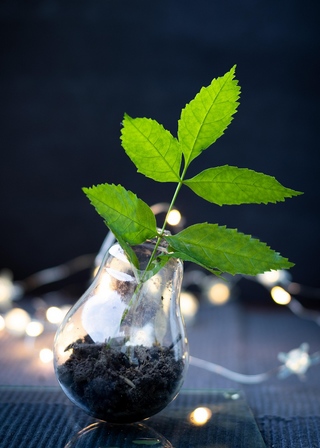 Atelier recyclage-création, Vacances en famille, Loisirs-créativité